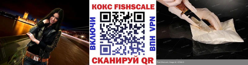 Купить где  Нововоронеж  COCAIN FishScale 