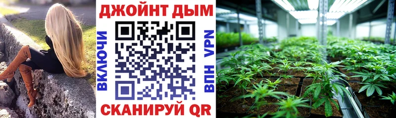 МАРИХУАНА гибрид Нововоронеж